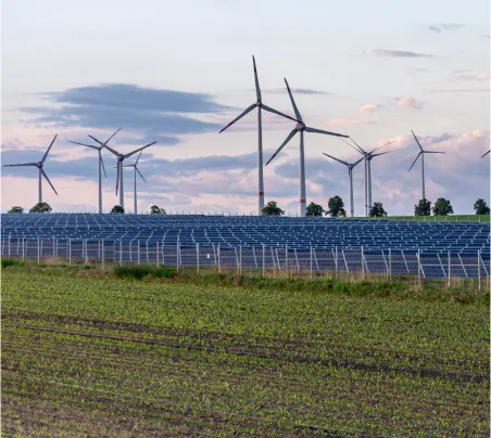 Captive Power Producer (CPP)