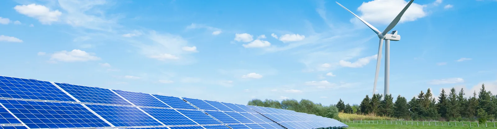 Captive Power Producer