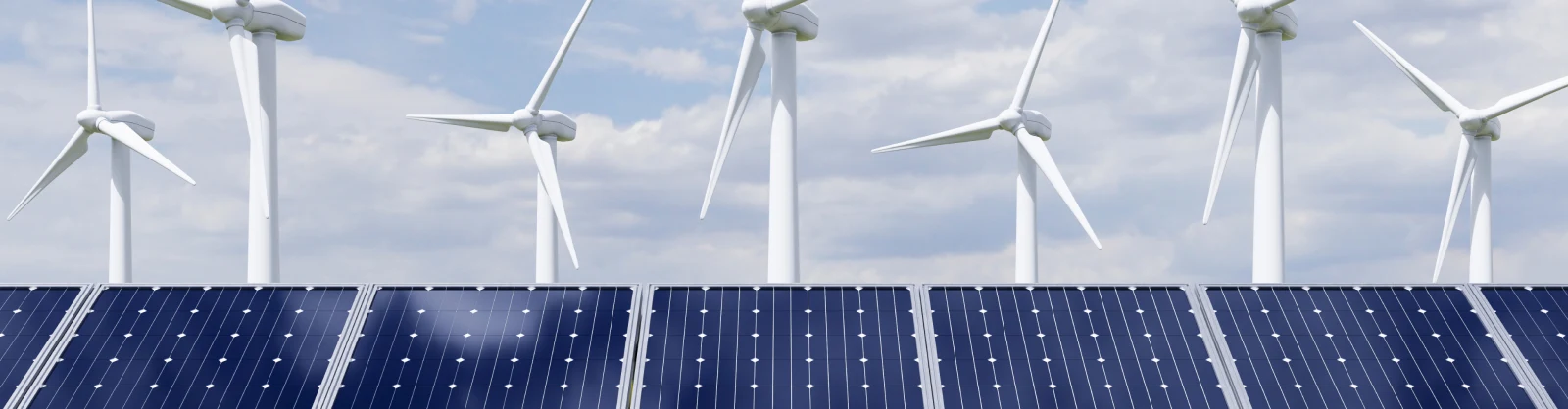 Independent Power Producer