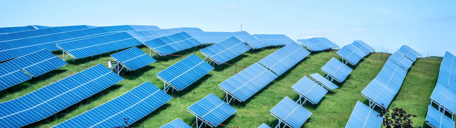 Total Asset Management