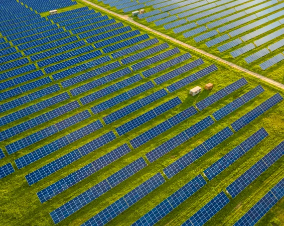 Total Asset Management